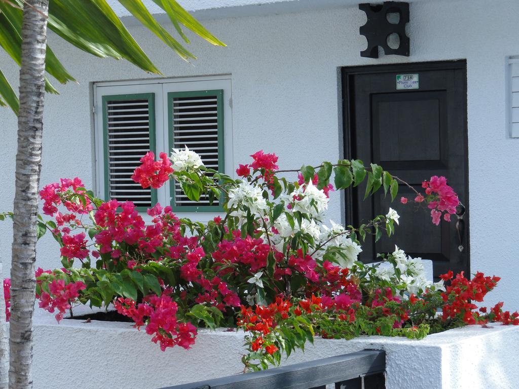 Plum Tree Club Διαμέρισμα Κράιστ Τσερτς Εξωτερικό φωτογραφία